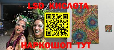 сатива Можга