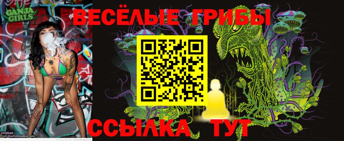 Псилоцибиновые грибы Psilocybine cubensis  Вход с VPN  Вышний Волочёк 